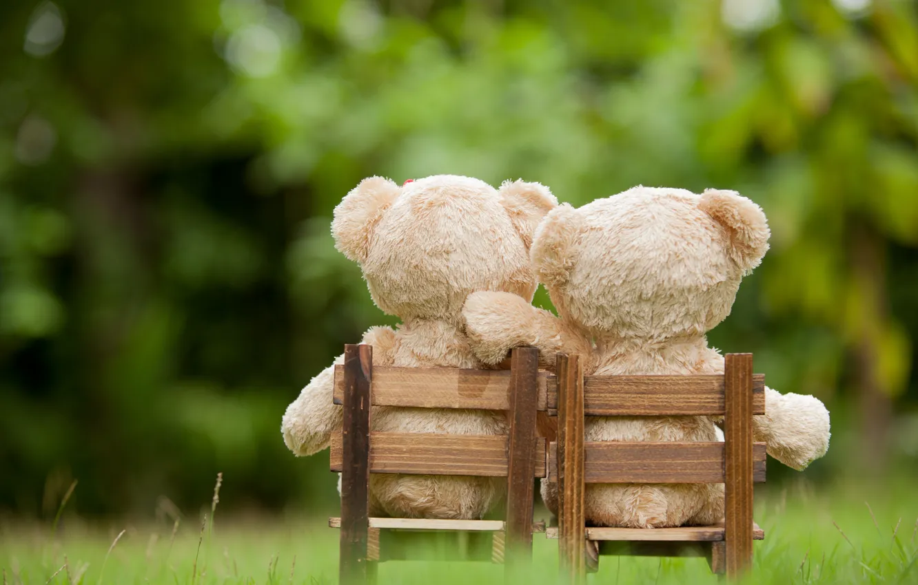 Фото обои любовь, игрушка, медведь, пара, love, двое, bear, park, teddy