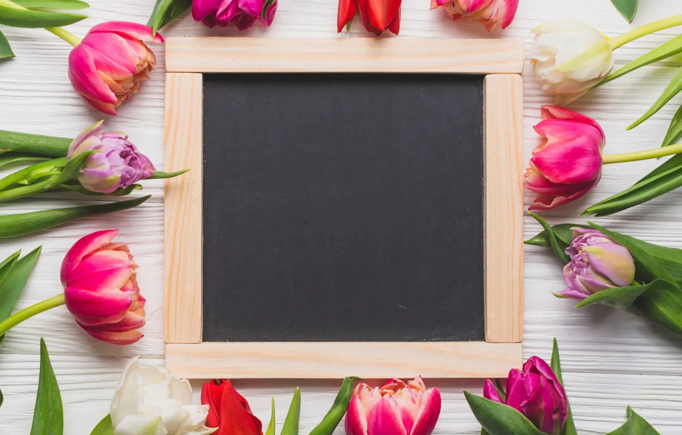 Фото обои цветы, весна, colorful, тюльпаны, доска, wood, pink, flowers, tulips, spring