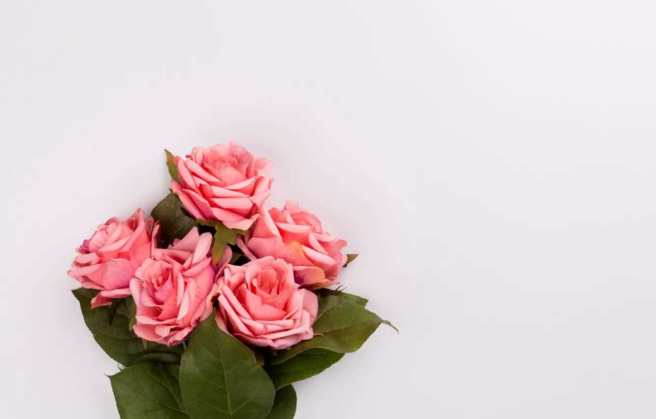 Фото обои цветы, розы, букет, розовые, pink, flowers, roses, tender