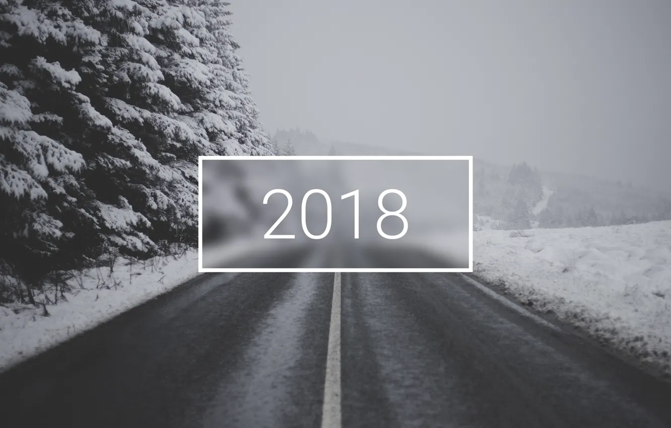 Фото обои wallpaper, white, christmas, new year, road, trees, winter, snow, minimalistic, 2018