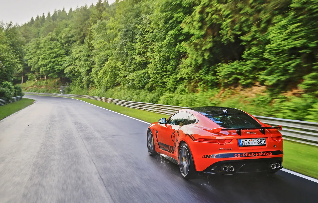 Фото обои капли, оранжевый, движение, дождь, пасмурно, растительность, трасса, Jaguar, 2016, F-Type SVR Ring-Cat, 575 л.с.