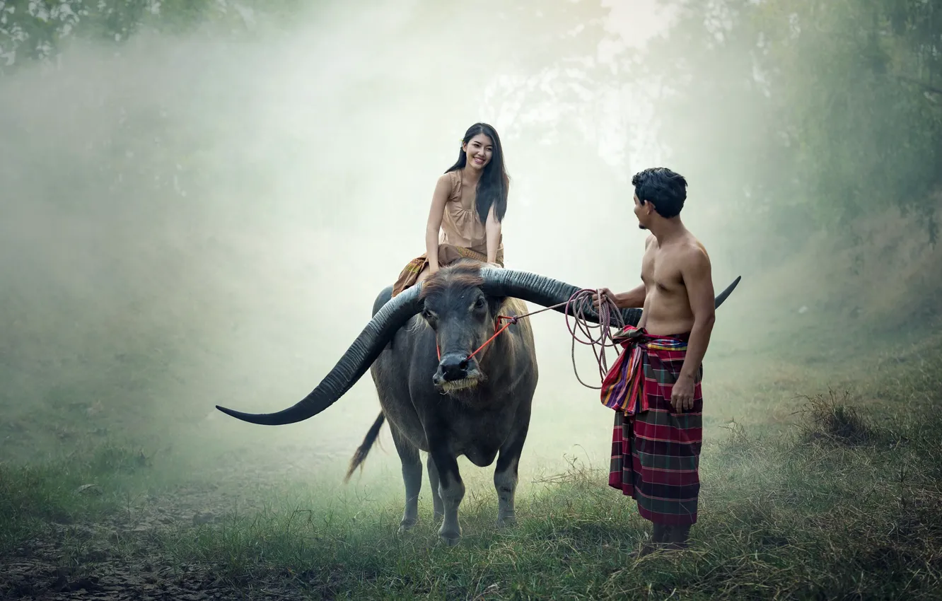 Фото обои people, couple, thailand, cow