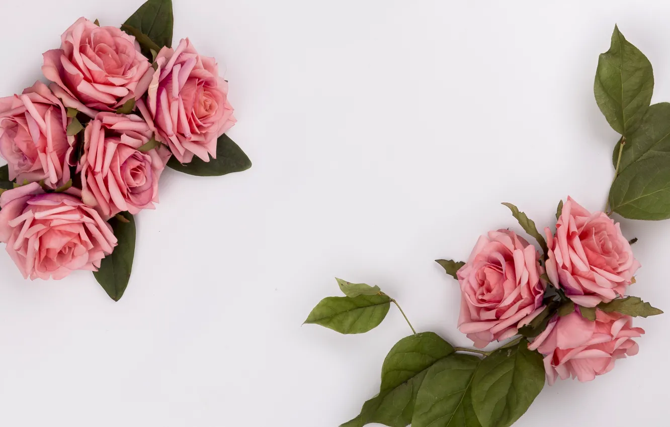 Фото обои цветы, розы, букет, розовые, pink, flowers, композиция, roses