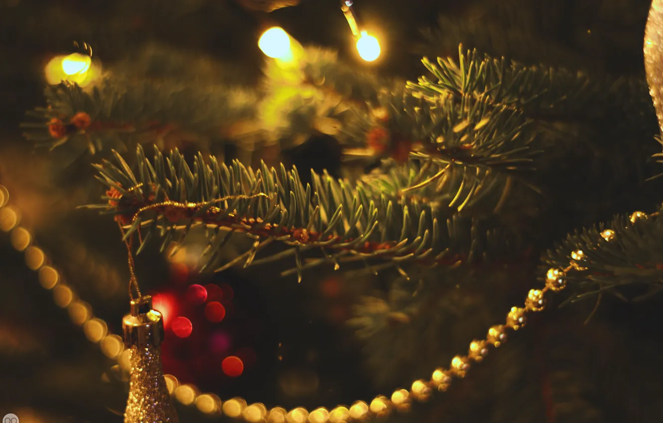 Фото обои зима, иголки, праздник, шары, елка, новый год, balls, winter, tree, елочные украшения, New Year, holiday, …