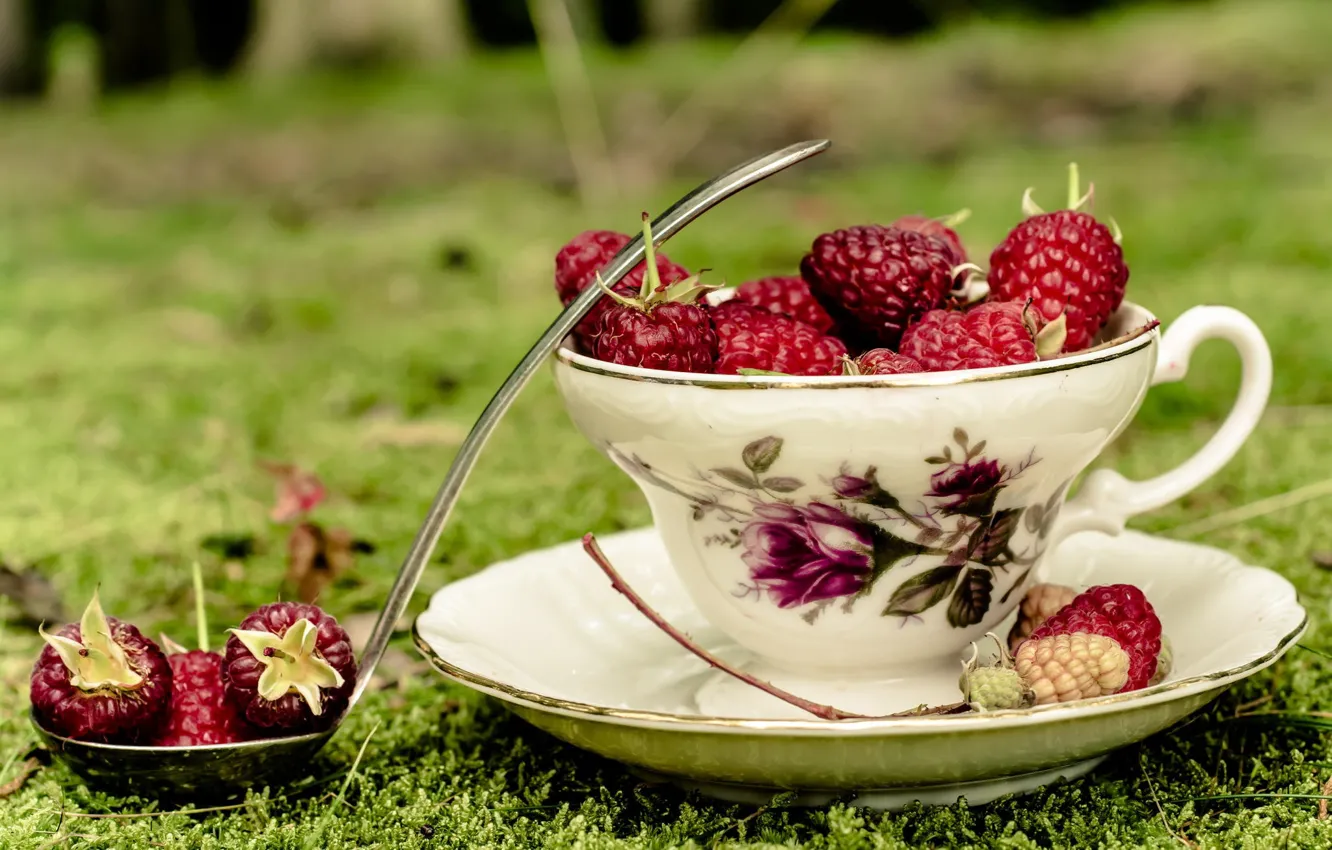 Фото обои трава, ягоды, малина, чашка, блюдце, половник