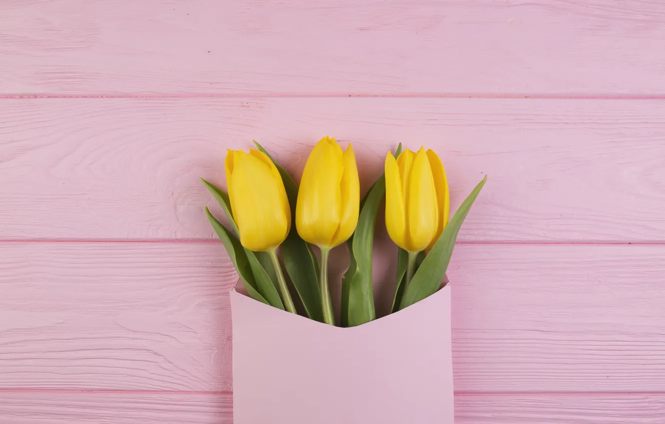 Фото обои цветы, букет, желтые, тюльпаны, fresh, yellow, wood, pink, flowers, конверт, tulips, spring, tender