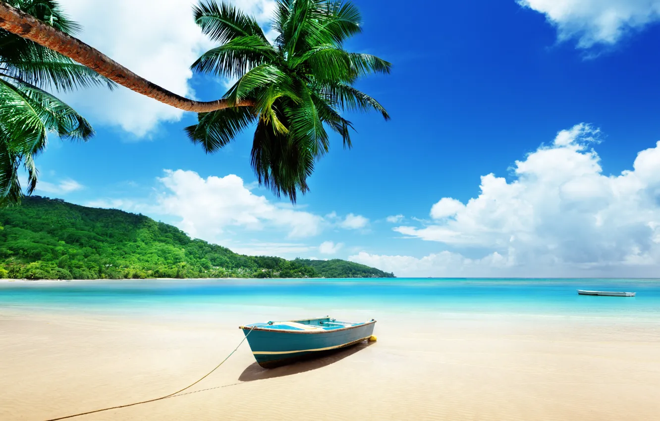 Фото обои море, тропики, пальма, лодка