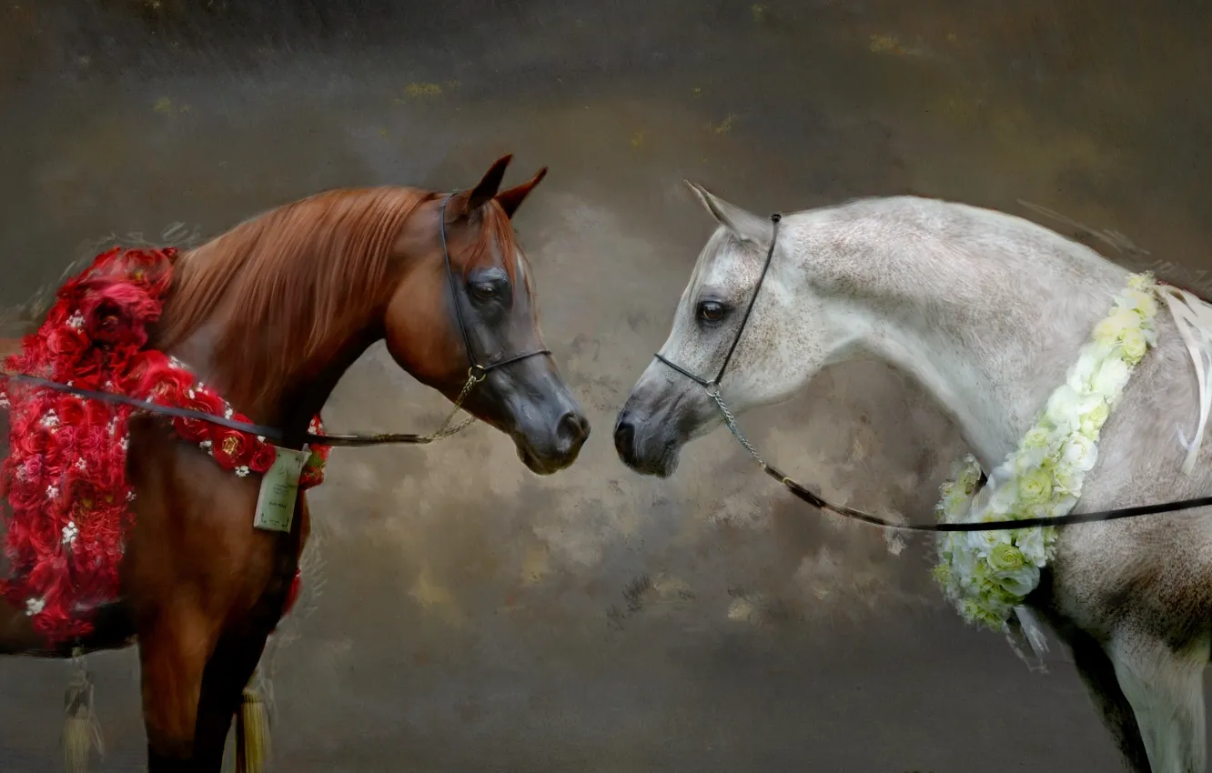 Фото обои белый, взгляд, цветы, серый, фон, кони, портрет, картина, лошади, арт, пара, живопись, морды, мазки, гнедой