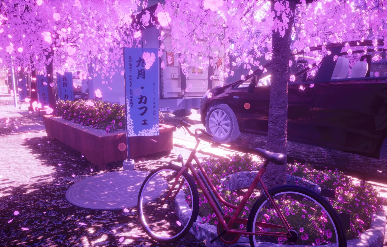 Фото обои авто, цветы, велосипед, город, весна, сакура