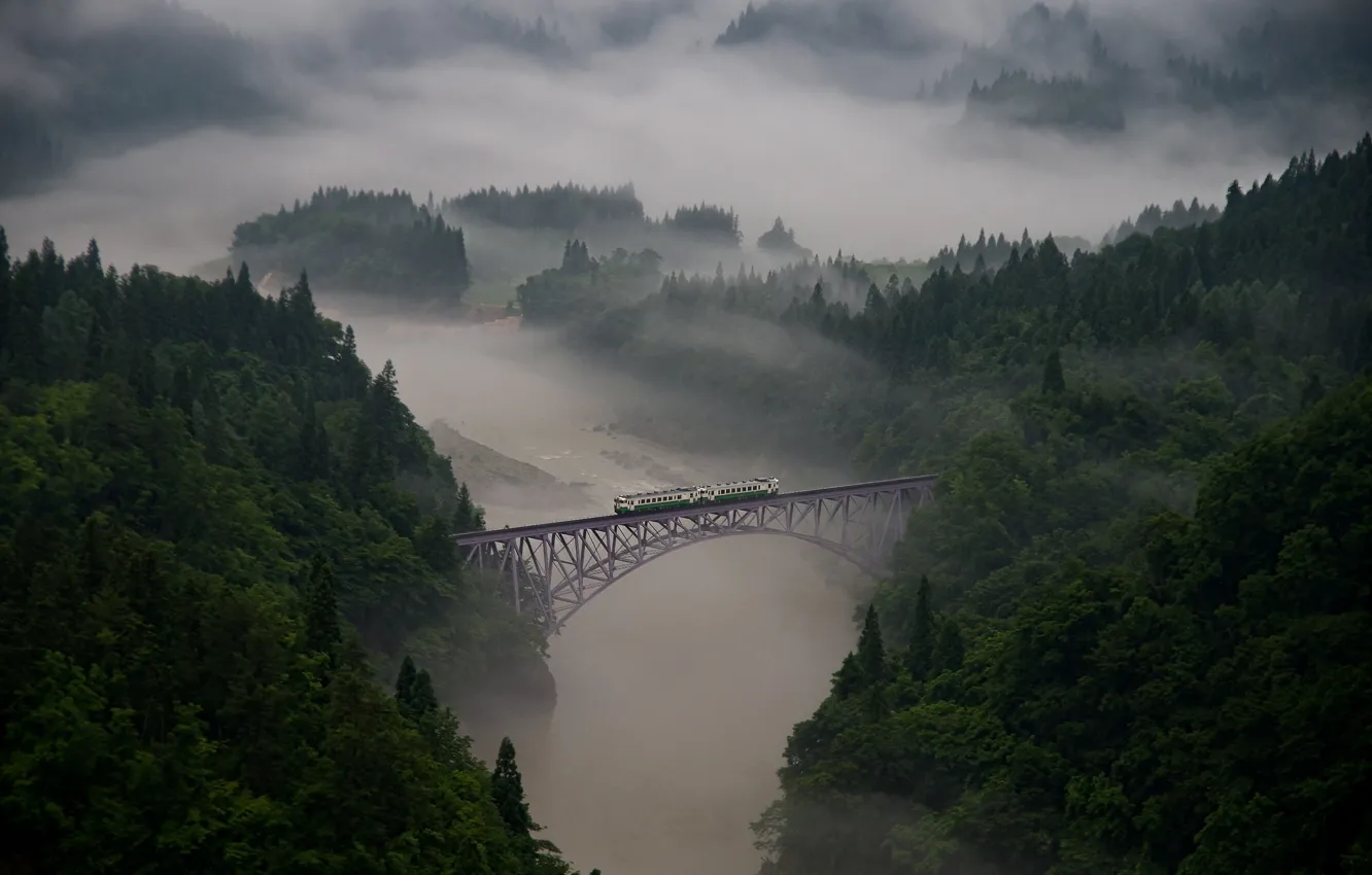 Фото обои лес, деревья, мост, туман, река, поезд, вагоны, дымка, леса