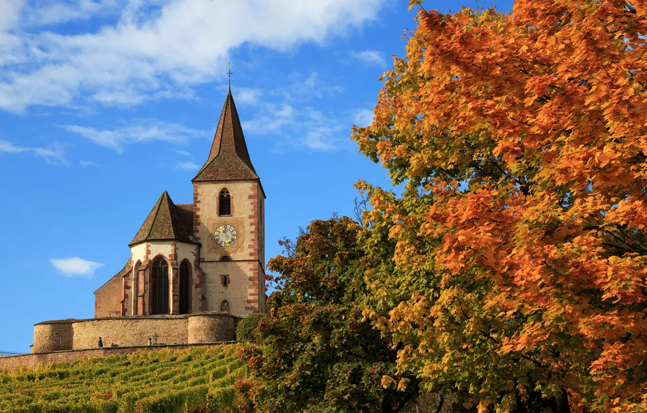 Фото обои осень, деревья, Франция, церковь, France, Hunawihr, Юнавир, Церковь Сен-Жак-ле-Мажёр, Church Saint-Jacques-le-Majeur