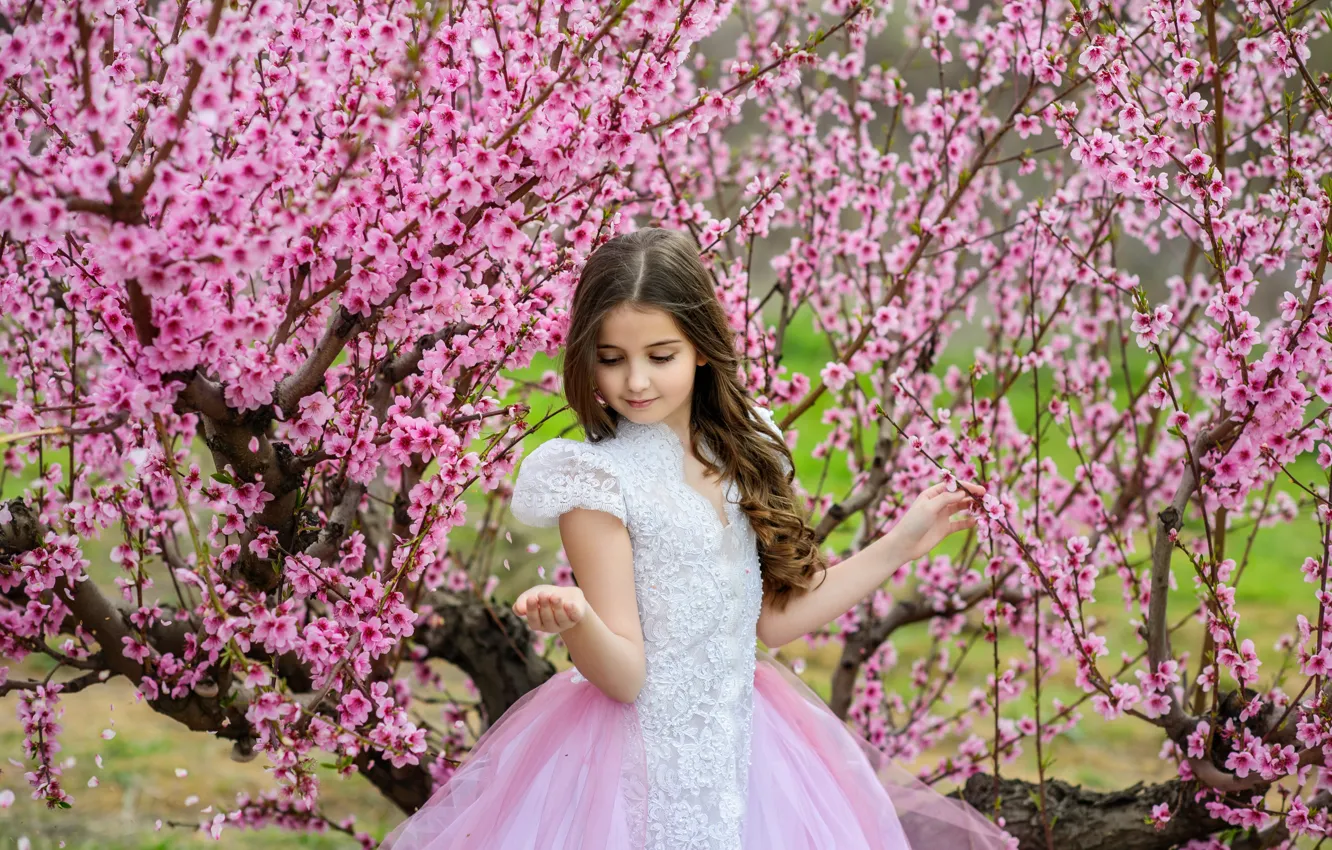 Фото обои деревья, весна, сакура, платье, девочка, girl, цветение, pink, blossom, beautiful, spring