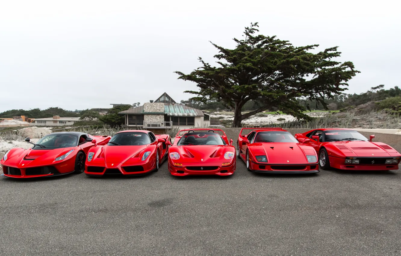 Фото обои Ferrari, F40, Enzo, Italia, RED, F50, LaFerrari, 288 GTO