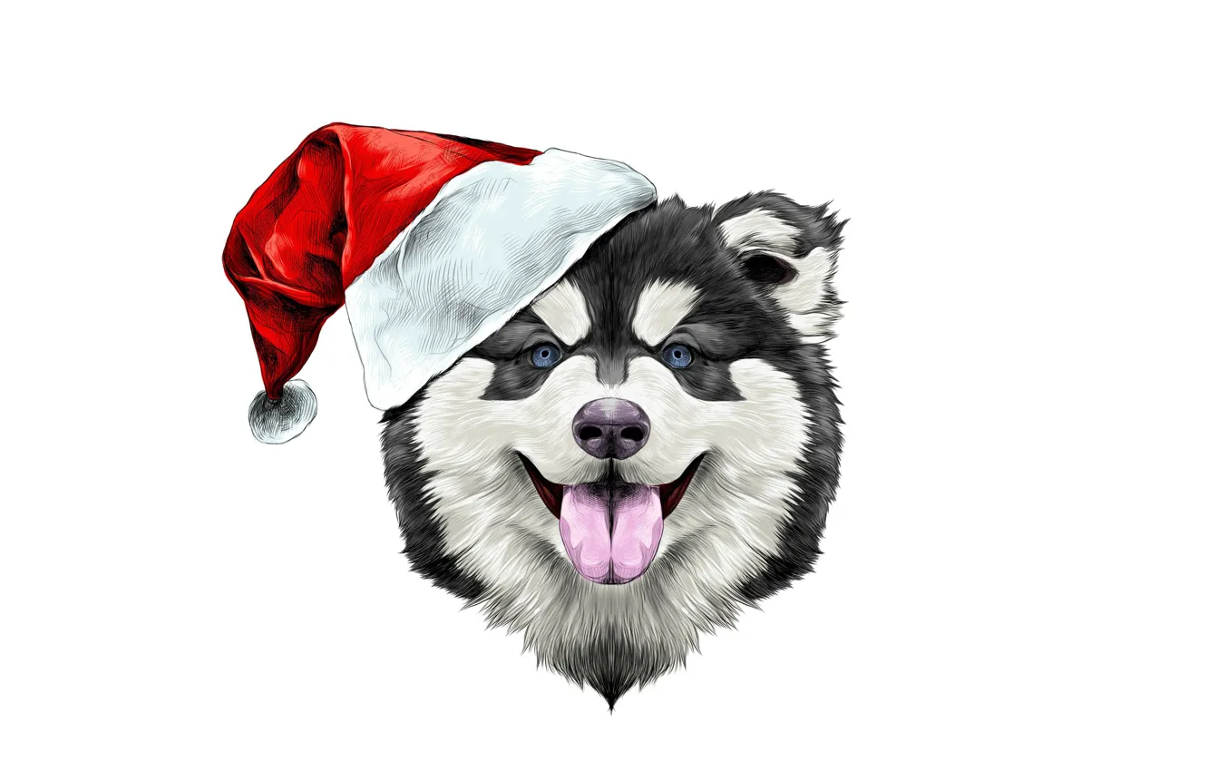 Фото обои счастье, праздник, шапка, новый год, собака, шляпа, new year, happy, dog, 2018, santa claus
