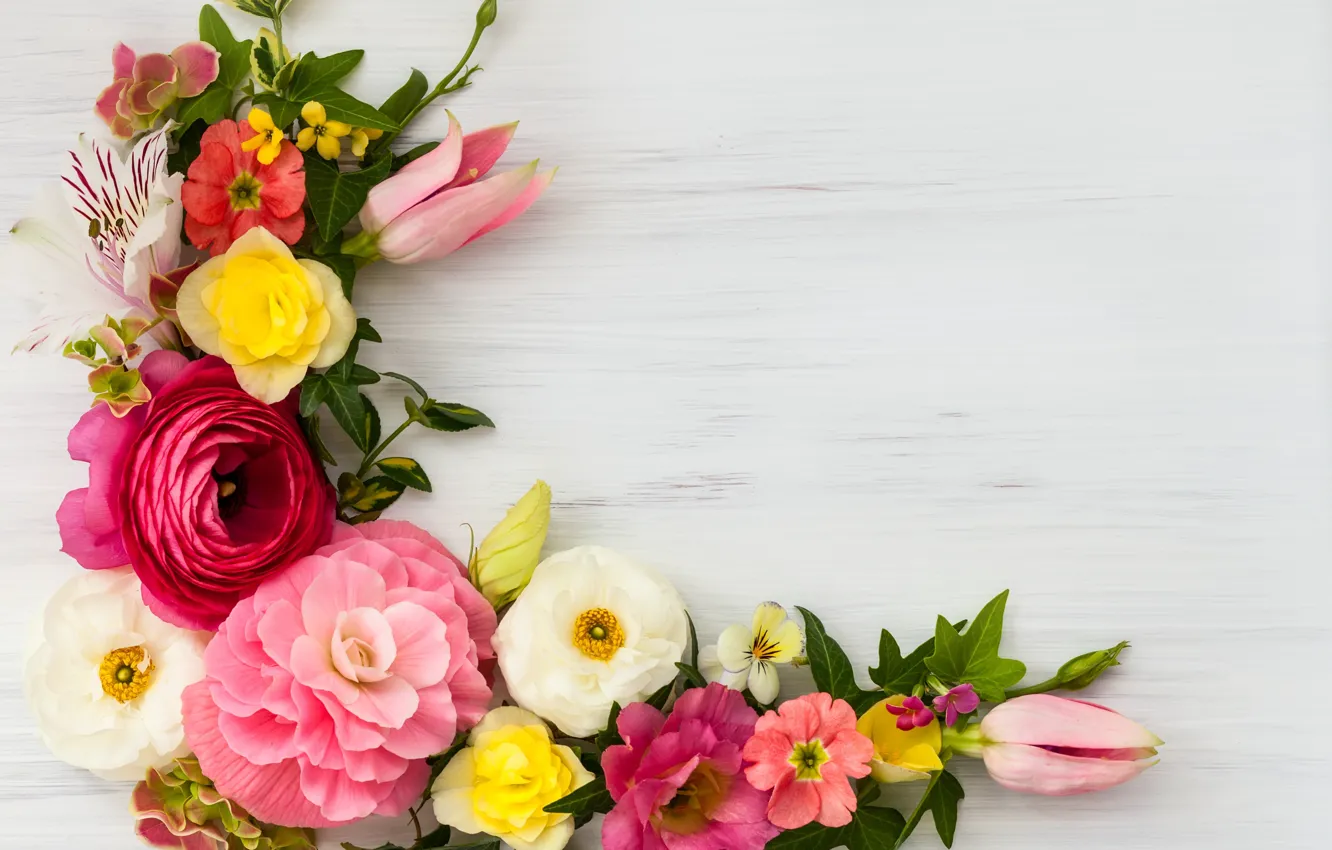 Фото обои цветы, wood, pink, flowers, beautiful, композиция, frame, floral