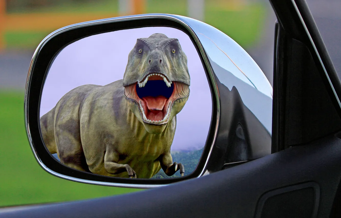 Фото обои авто, динозавр, хищник, пасть, ужас, T-Rex, Парк Юрского периода, в зеркале