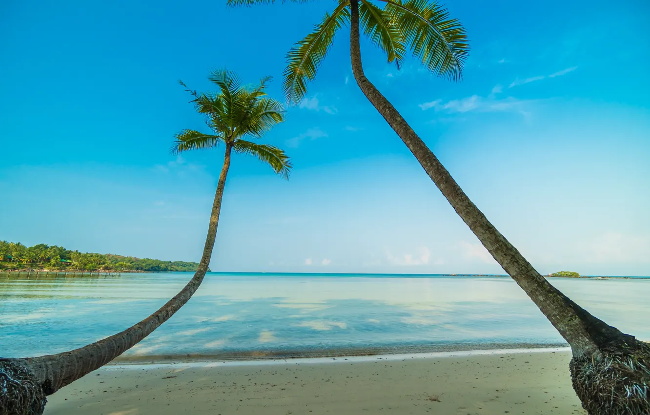 Фото обои песок, море, волны, пляж, лето, пальмы, берег, summer, beach, sea, seascape, beautiful, sand, paradise, palms, …