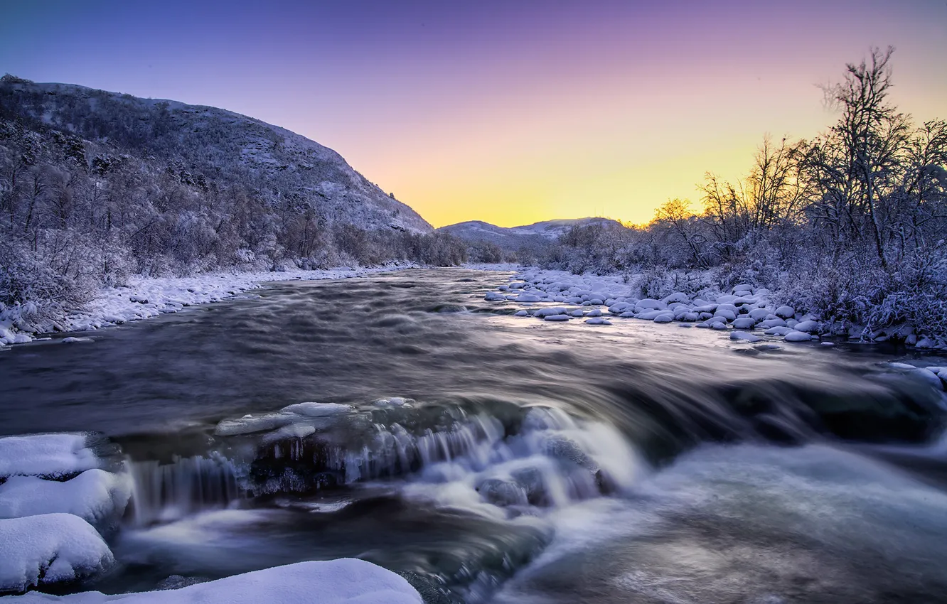 Фото обои зима, снег, деревья, природа, река
