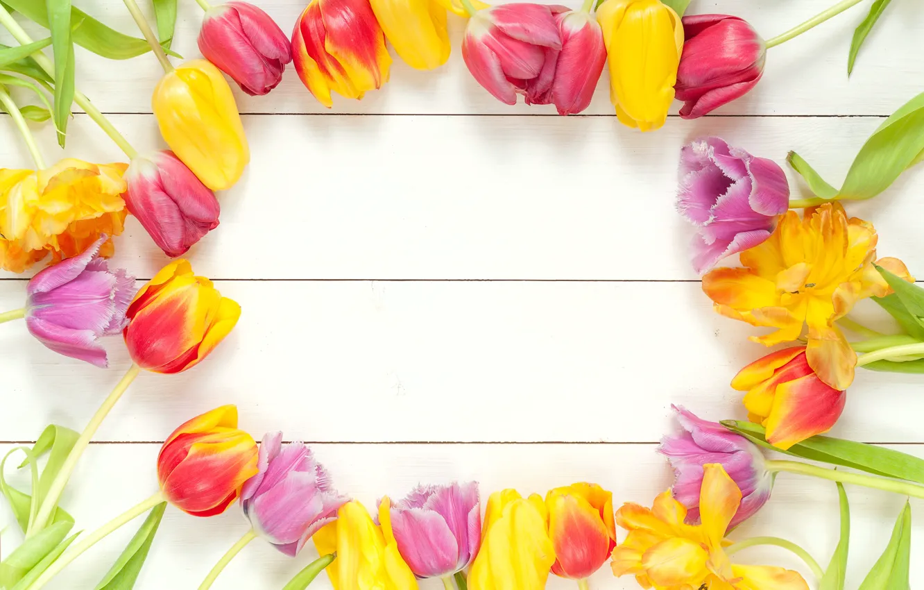 Фото обои цветы, букет, весна, рамка, colorful, тюльпаны, fresh, wood, flowers, beautiful, tulips, spring, bright