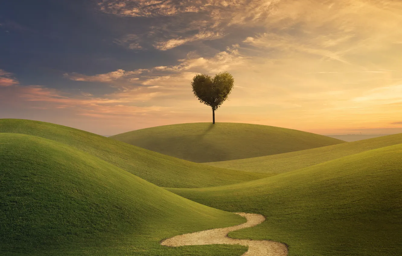 Фото обои поле, небо, трава, любовь, дерево, сердце, love, field, landscape, heart, beautiful, tree, romantic