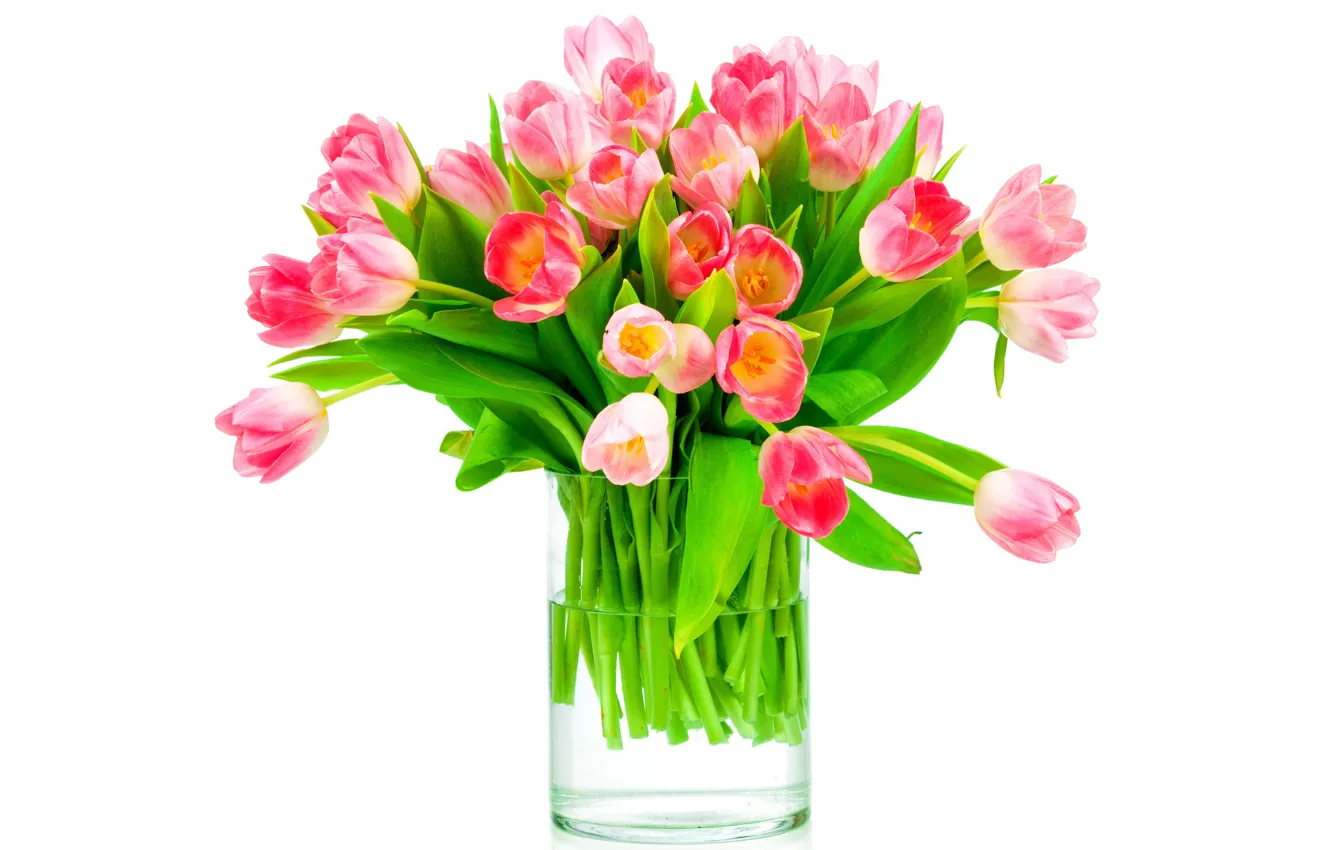 Фото обои букет, тюльпаны, love, fresh, pink, flowers, romantic, tulips, gift, розовые тюльпаны