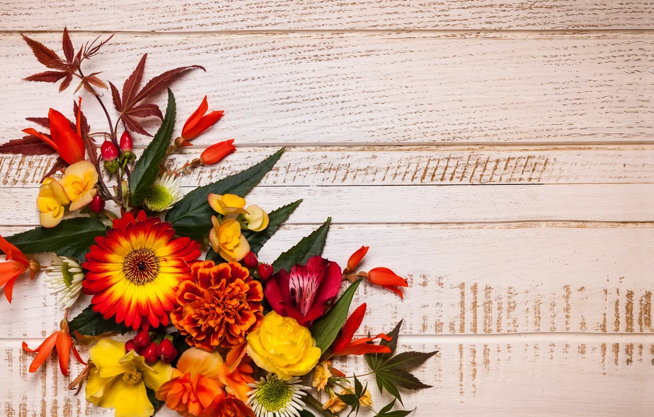 Фото обои осень, листья, цветы, wood, flowers, autumn, leaves, композиция, frame, floral