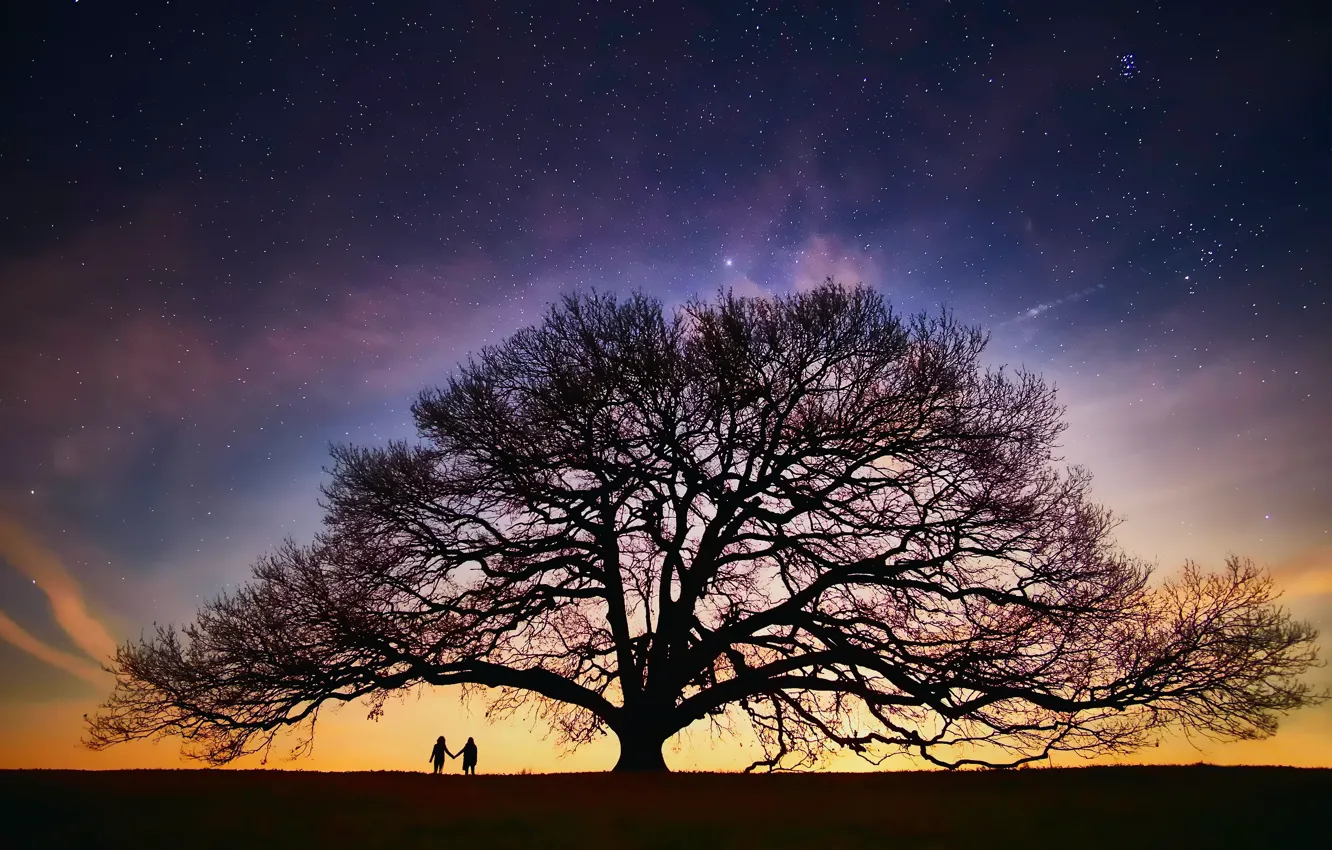 Фото обои небо, звезды, ночь, люди, дерево, вечер, пара, млечный путь, силуэты