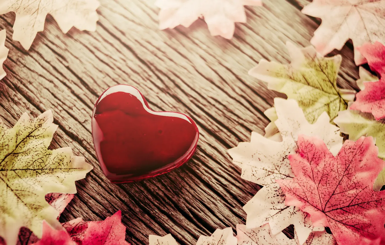 Фото обои осень, листья, фон, сердечко
