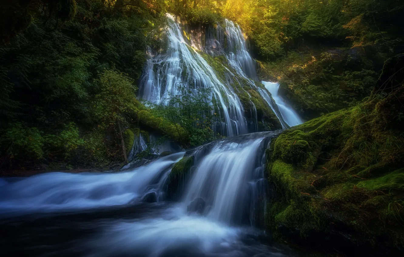 Фото обои лес, свет, природа, река, скалы, водопад, поток