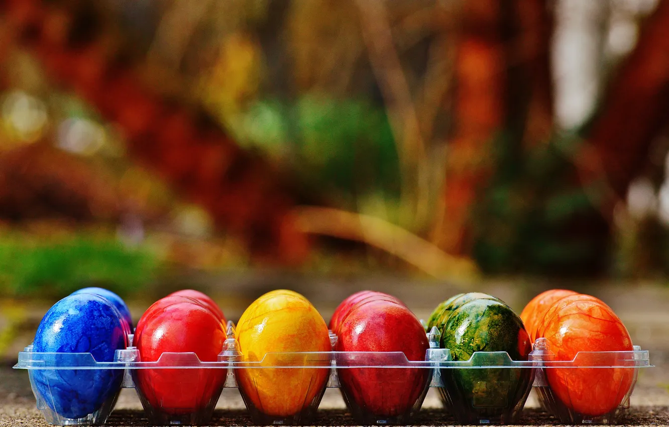 Фото обои colorful, Пасха, rainbow, Easter, eggs, decoration, Happy, яйца крашеные