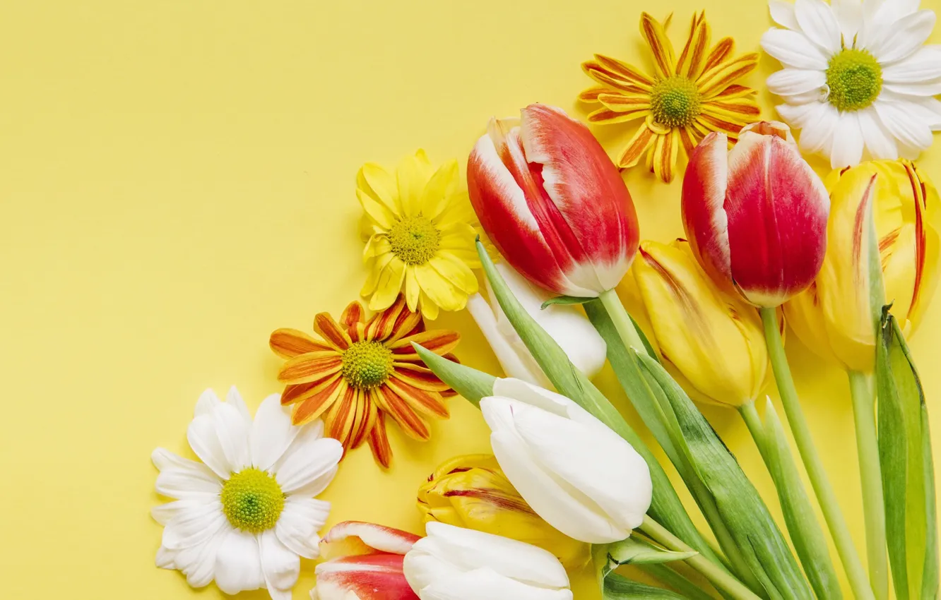 Фото обои цветы, весна, colorful, Пасха, тюльпаны, wood, flowers, tulips, spring, Easter, eggs, decoration, Happy, яйца крашеные