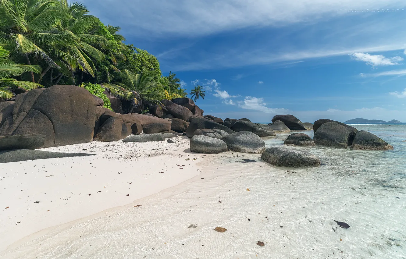 Фото обои песок, море, камни, пальмы, побережье