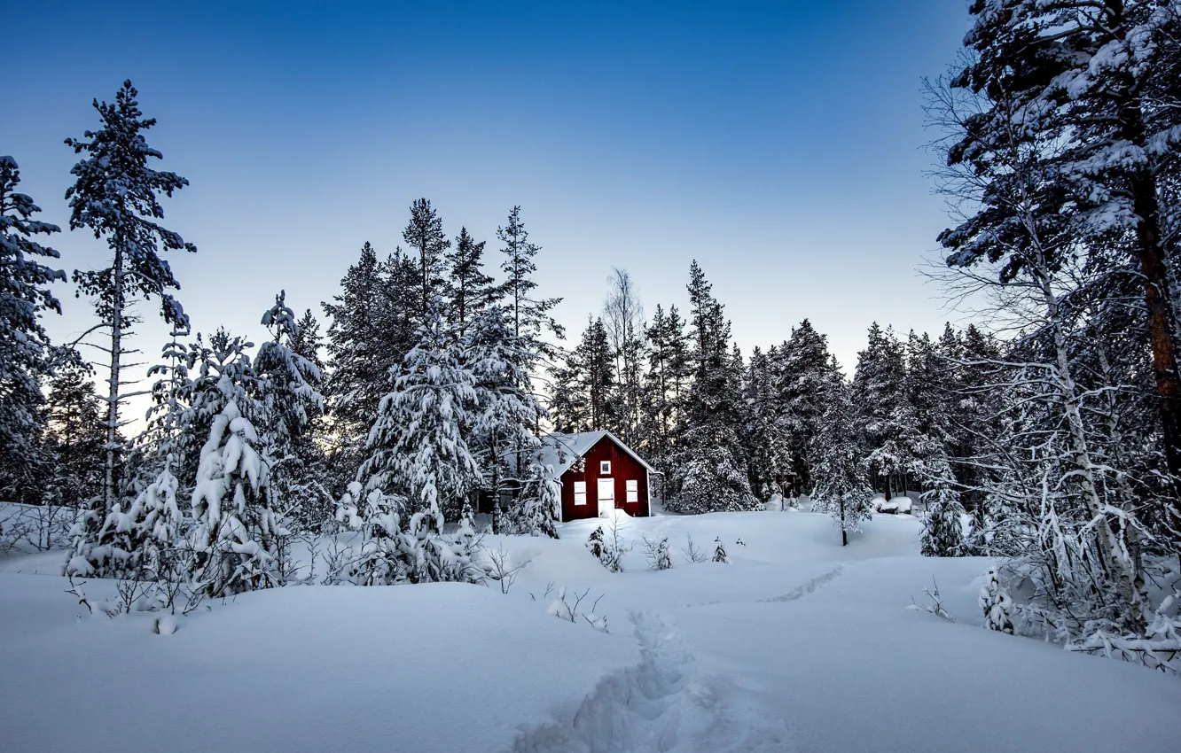 Фото обои зима, лес, снег, деревья, домик, Швеция, Sweden, Storforsen Nature Reserve