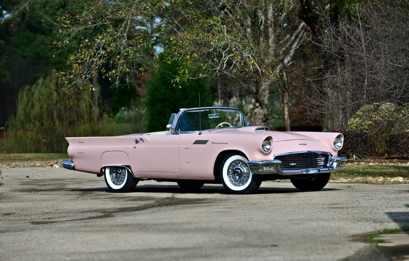 Обои Vintage Convertible Pink Classic 1957 Old Car Ford