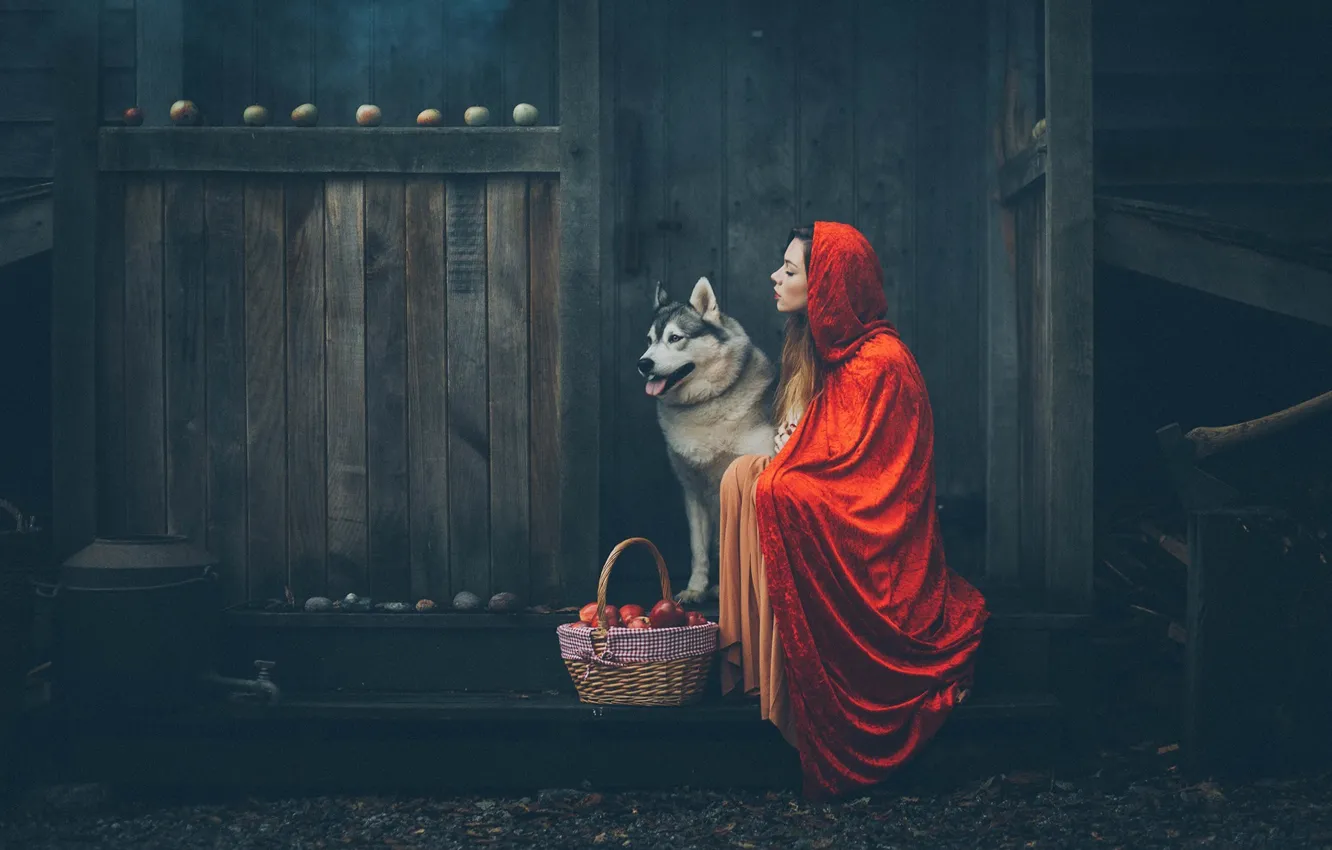 Фото обои девушка, настроение, корзина, яблоки, собака, капюшон, плащ, Grant Lampard