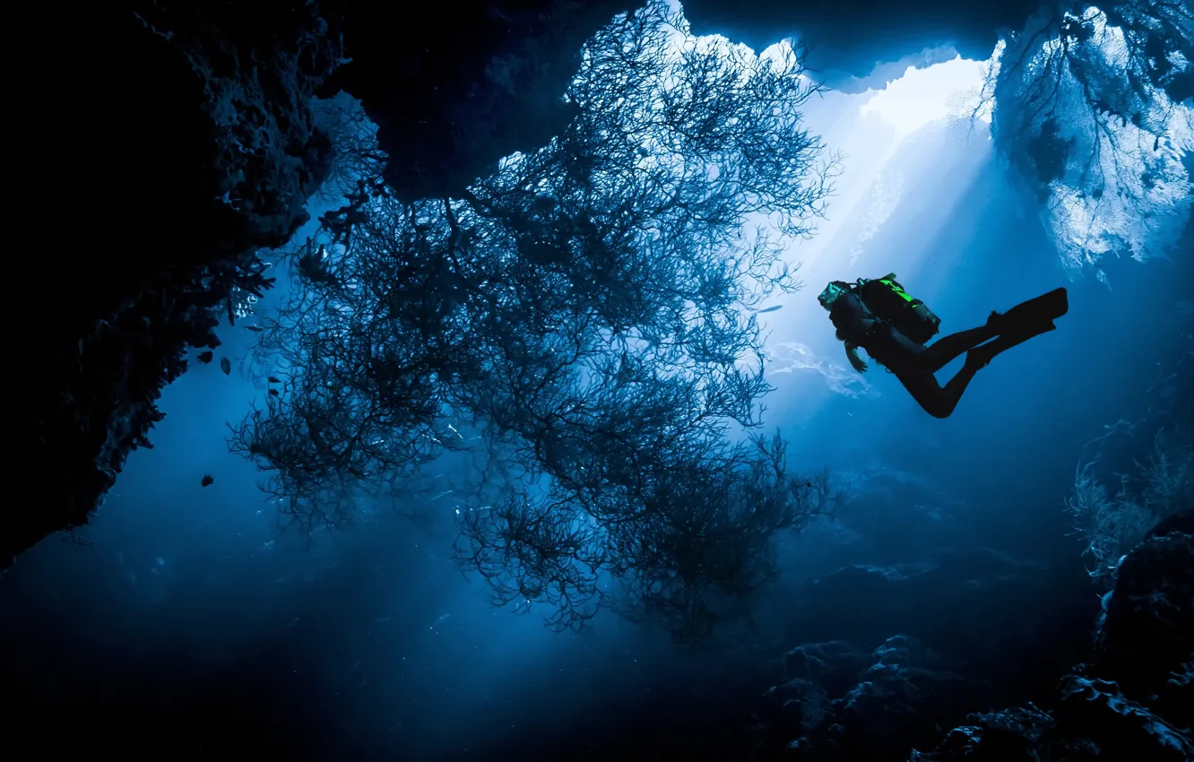 Фото обои море, вода, океан, человек, водолаз, под водой, дайвинг, дайвер