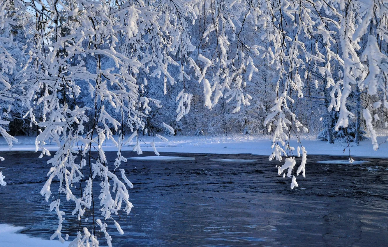 Фото обои зима, вода, снег, ветки, природа, река