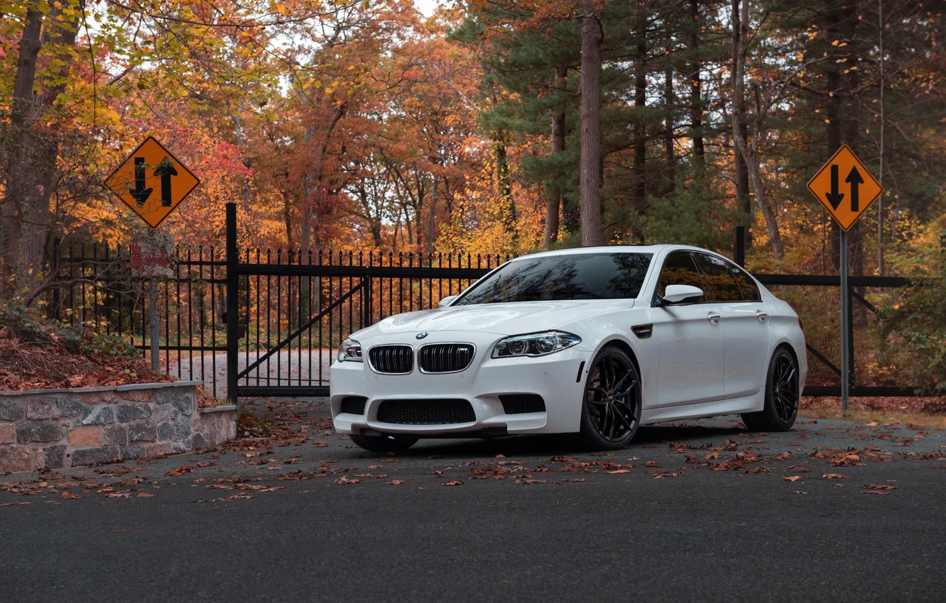 Фото обои BMW, White, Autumn, F10