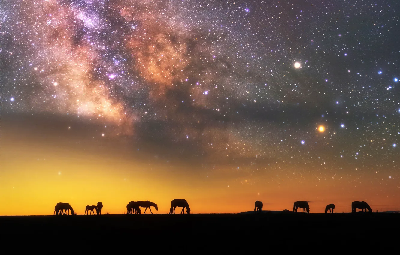 Фото обои небо, звезды, ночь, вечер, лошади, млечный путь, силуэты