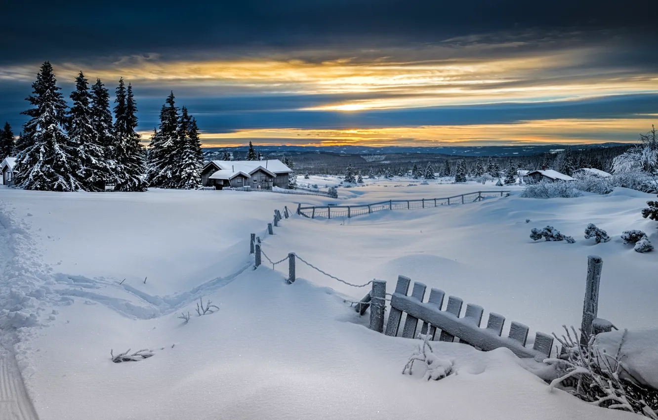 Фото обои зима, лес, снег, забор, Норвегия, Лиллехаммер, Lillehammer
