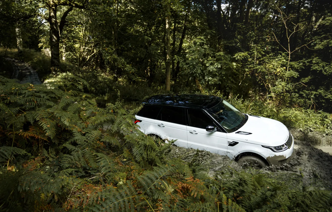 Фото обои дорога, лес, растительность, грязь, Land Rover, чёрно-белый, Range Rover Sport P400e Plug-in Hybrid