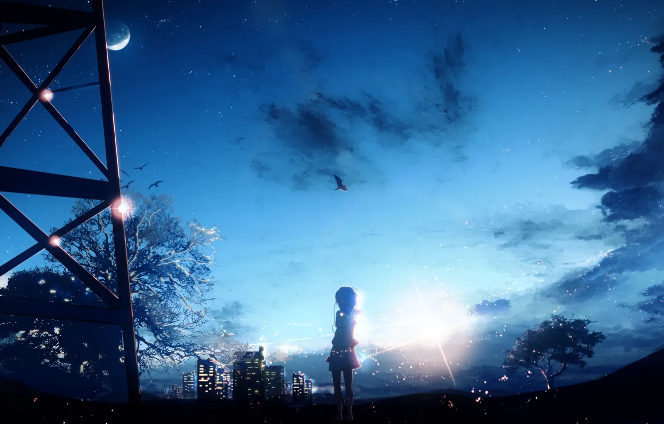 Фото обои небо, девушка, ночь, город, дерево, птица, луна, Y_Y