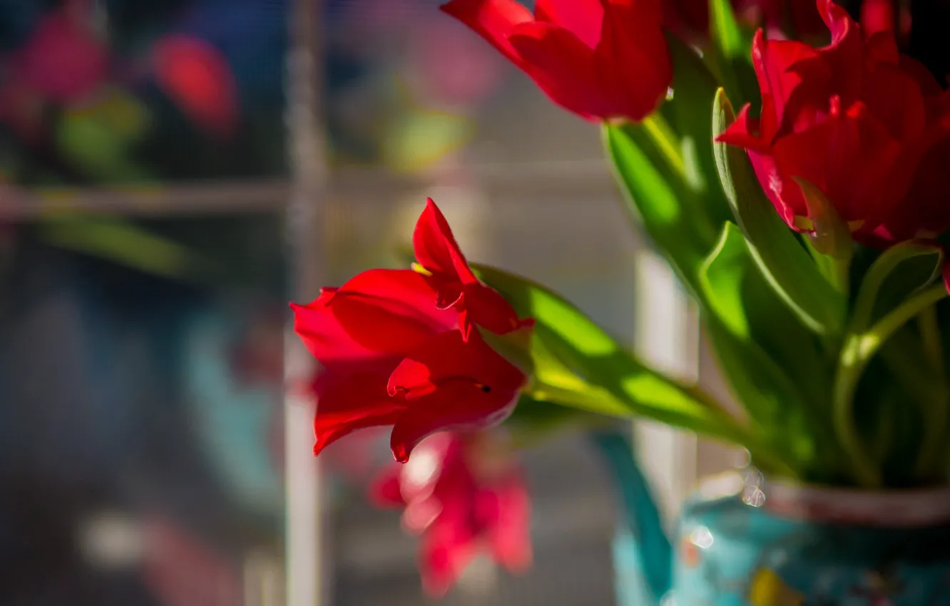 Фото обои букет, тюльпаны, боке, красные тюльпаны