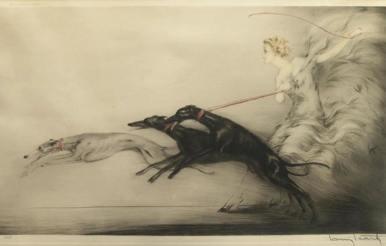 Фото обои собаки, Скорость, 1927, Louis Icart