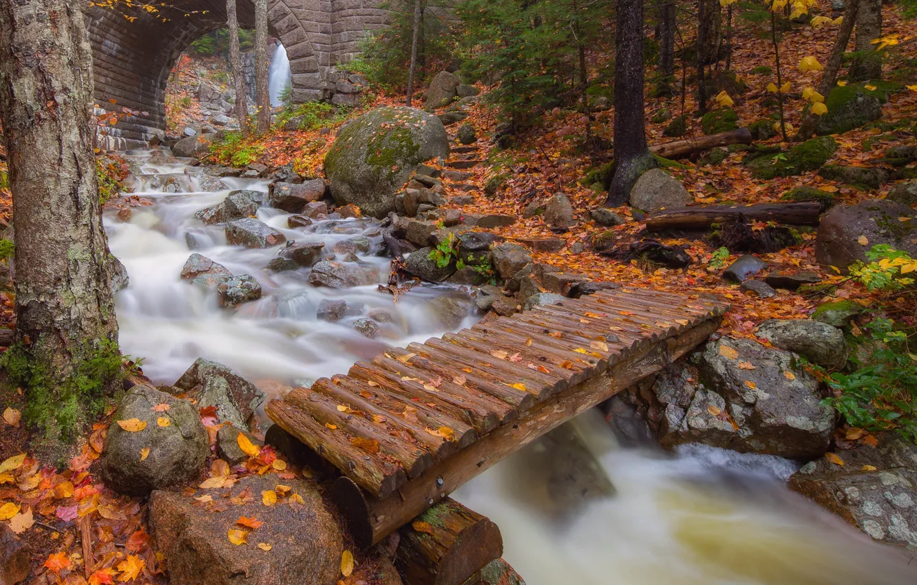 Фото обои осень, листья, деревья, мост, река, арка, Maine, Мэн, Acadia National Park, Национальный парк Акадия