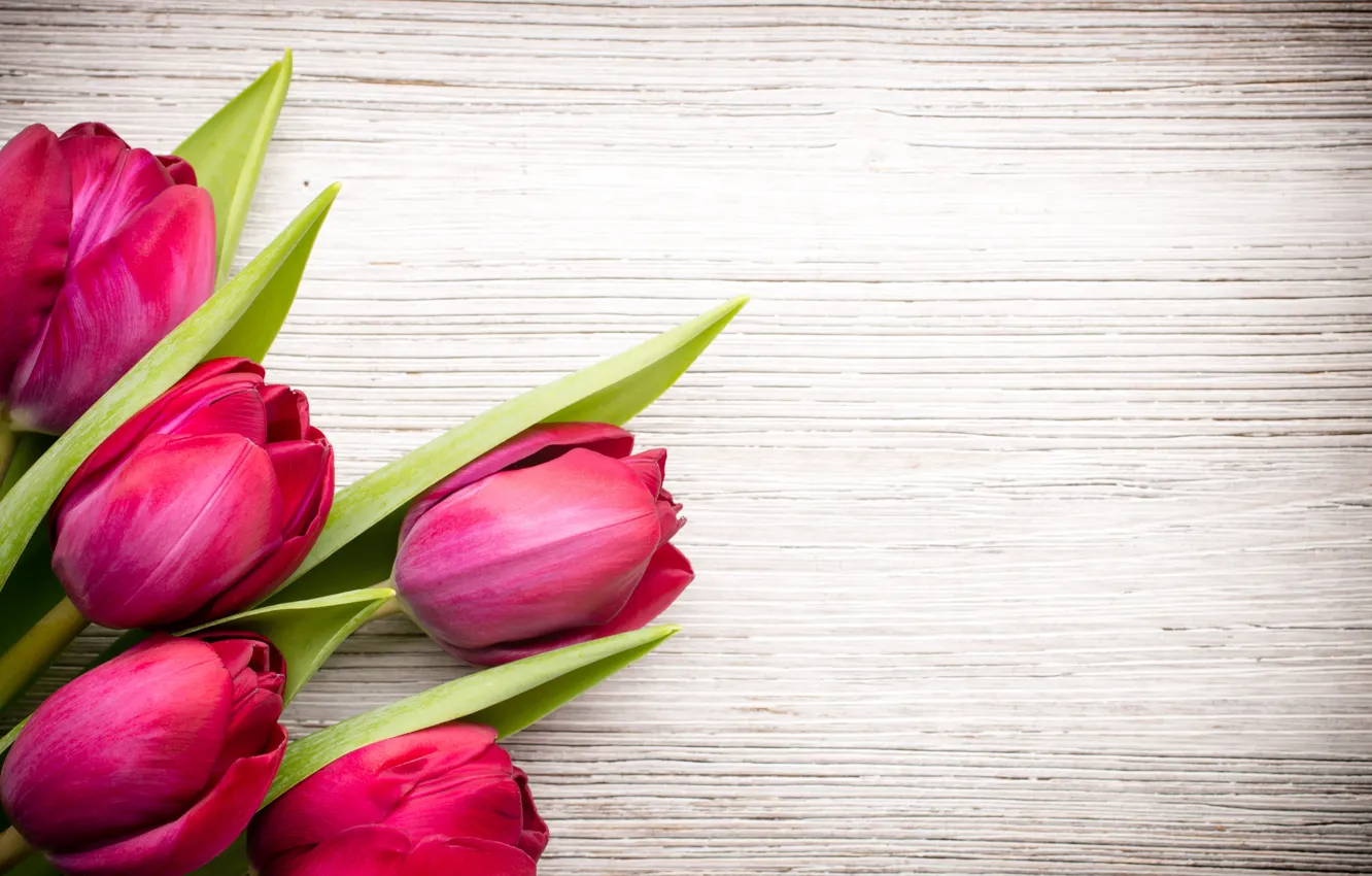 Фото обои цветы, букет, fresh, wood, pink, flowers, beautiful, tulips, розовые тюльпаны
