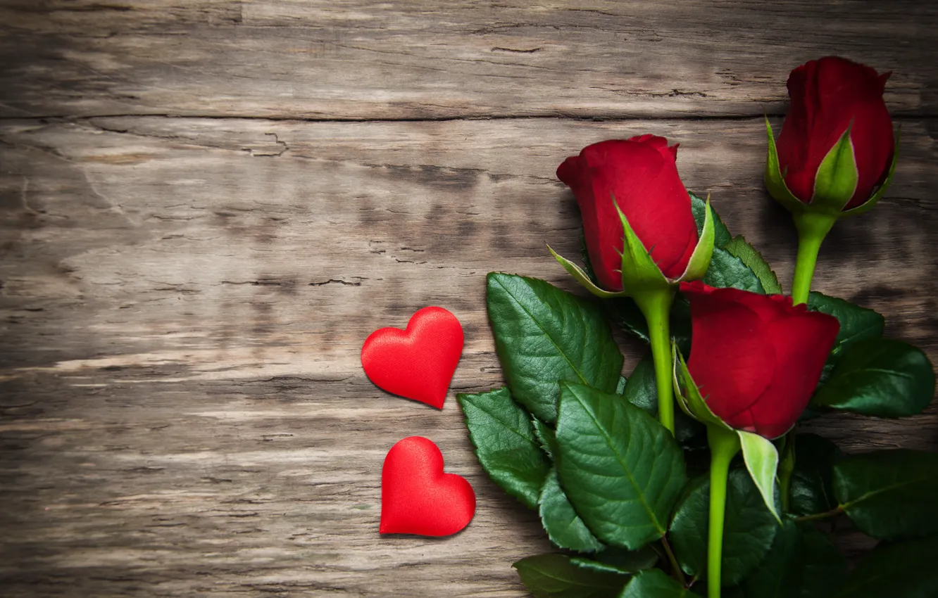 Фото обои розы, red, love, бутоны, heart, flowers, romantic, roses, красные...