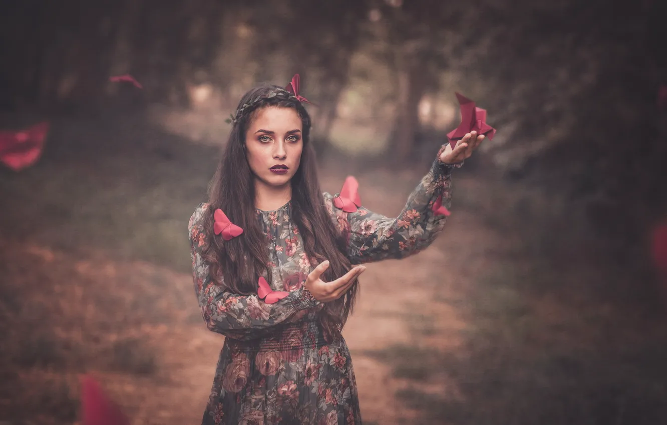 Фото обои взгляд, девушка, бабочки, фон, настроение, руки, платье, оригами, боке, Pilar Roca Garcia