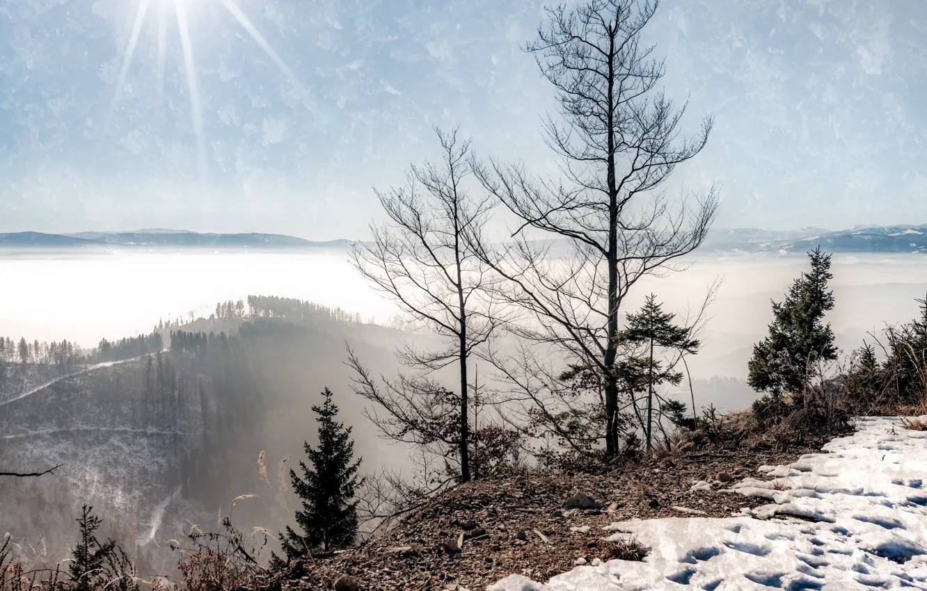 Фото обои зима, горы, природа, утро