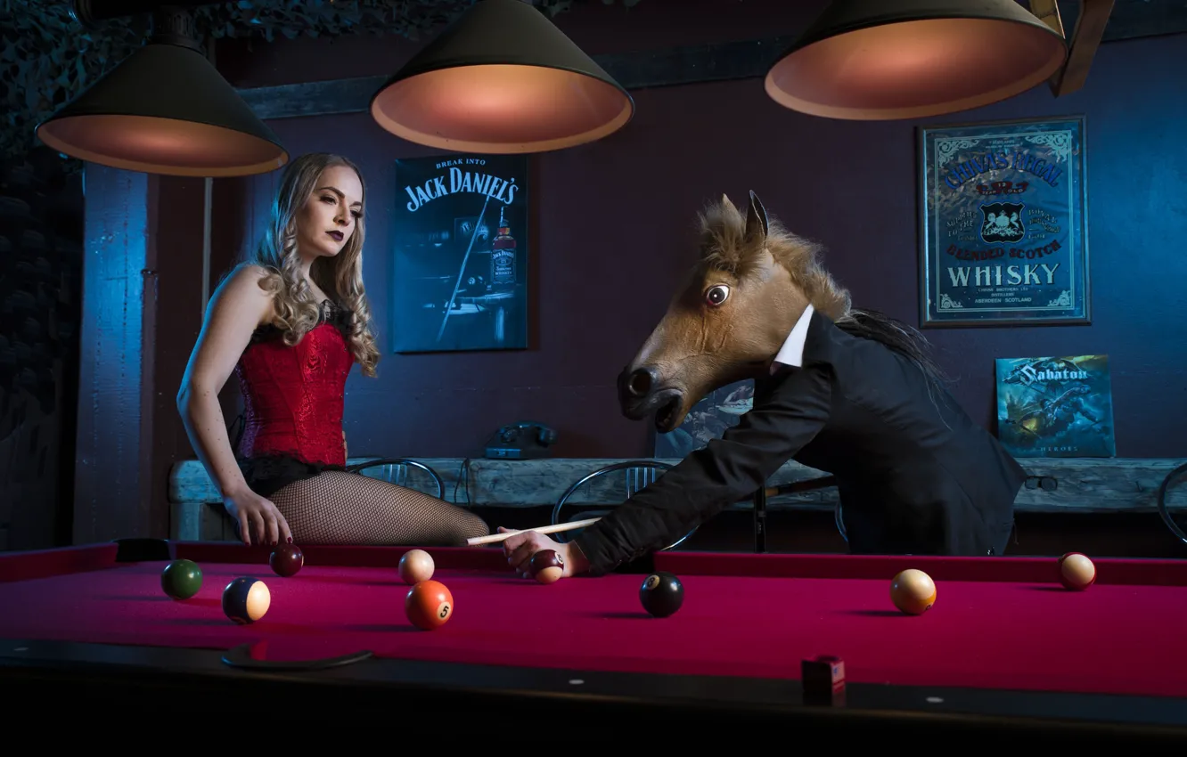 Фото обои девушка, конь, бильярд